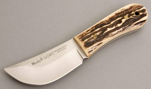 Muela Knives Gazapo Skinner with Stag Handle Scales handle material - Obverse Side - Item #KLC08182