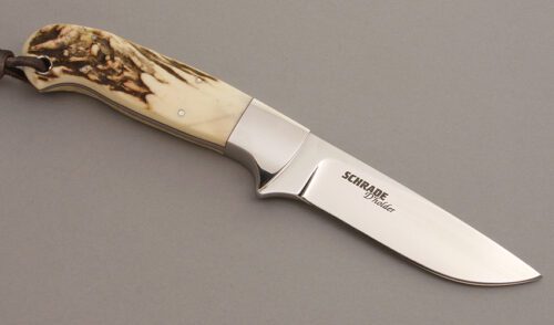 Schrade Cutlery SDH1 D'Holder Millenium Hunter with Sambar Stag Handle Scales handle material - Obverse Side - Item #KLC08365