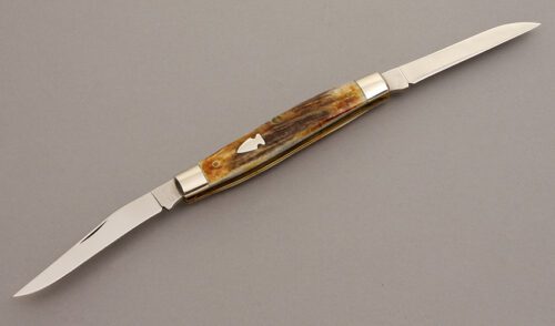 Northwoods Knives Square Back Muskrat with Stag Handle Scales handle material - Obverse Side - Item #KLC08366