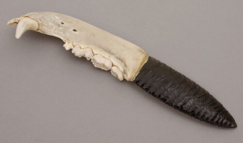 Michael Stafford Obsidian Dagger with Bear Jaw Handle handle material - Obverse Side - Item #KLC10115