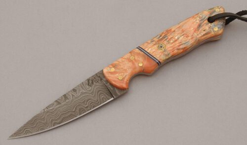 Mark Everett Waite Damascus Hunter with Box Elder Burl Wood Scales handle material - Obverse Side - Item #KLC10598