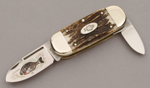 Bulldog Knives Baby Sunfish with Bone Stag Handle Scales handle material - Obverse Side - Item #KLC10686