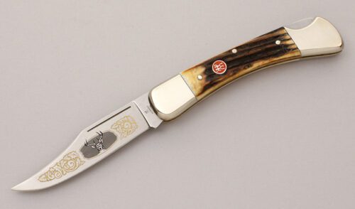 J.A. Henckels Presentation Folding Hunter with Stag Handle Scales handle material - Obverse Side - Item #KLC11976