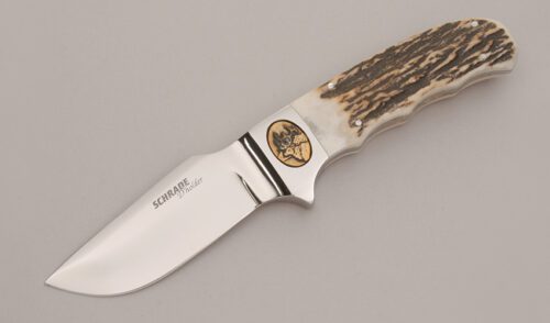 Schrade Cutlery SDH03 D'Holder Hunter with Stag Handle Scales handle material - Obverse Side - Item #KLC12761