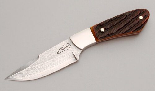 Jim Thompson Damascus Drop Point Skinner with Brown Jigged Bone Scales handle material - Obverse Side - Item #KLC12910