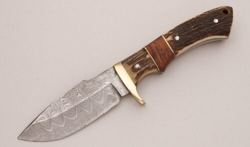 Unknown Maker Damascus Hunter with Stag & Wood Handle Scales handle material - Obverse Side - Item #KLC13094