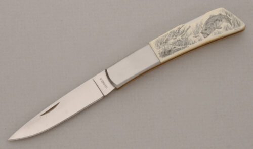 Gerber Knives Silver Knight Lockback with Ivory Micarta Handle Scales handle material - Obverse Side - Item #KLC13841