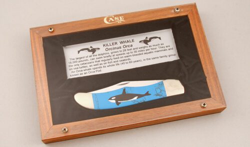 Case Cutlery 6165 Killer Whale with Turquoise Handle Scales handle material - Obverse Side - Item #KLC14382
