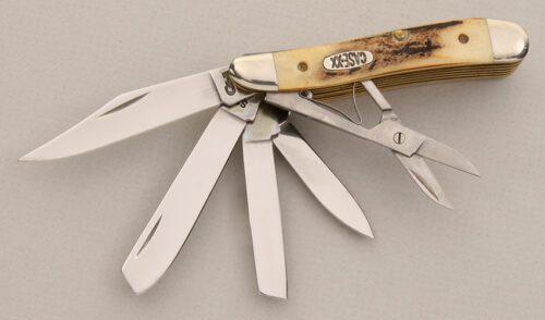 Case Cutlery 5 Blade Peanut with Stag Scales handle material - Obverse Side - Item #KLC14941